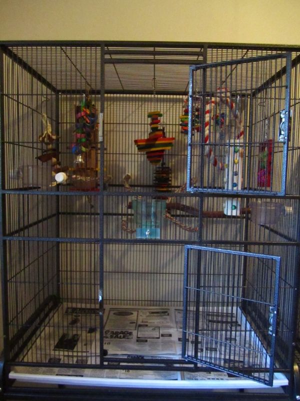 Post up pictures of conures cages( Parrot Forum Parrot Owner's